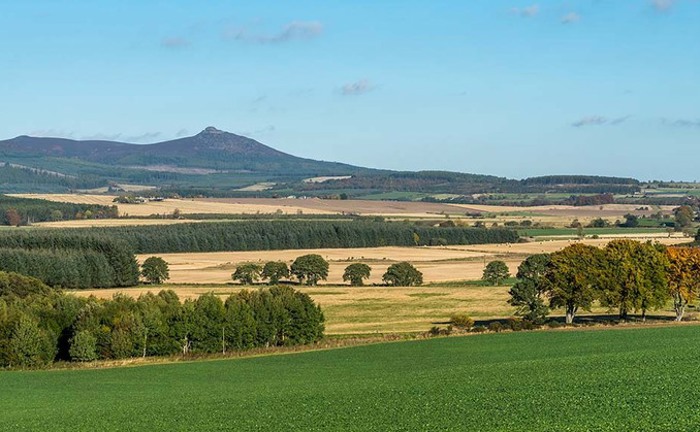 Land & Rural Skills